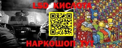 сатива Ставрополь