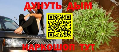 сатива Ставрополь